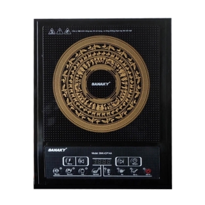 Bếp từ Sanaky SNK-ICP14A
