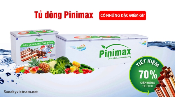 Tủ đông Pinimax có những đặc điểm gì?