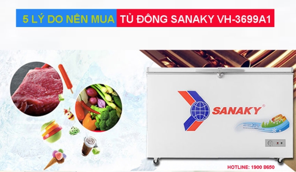 5 lý do nên mua tủ đông Sanaky VH-3699A1