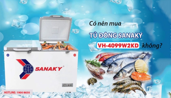 Có nên mua tủ đông Sanaky VH-4099W2KD không?