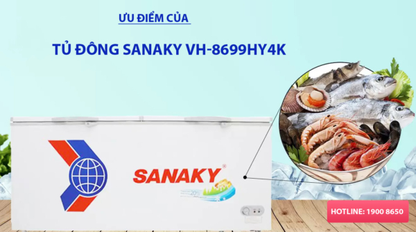 Ưu điểm của tủ đông Sanaky VH-8699HY4K