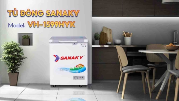 Top 3 tủ đông mini giá rẻ đáng mua nhất tháng 10 này