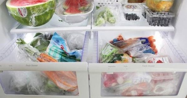 Tại sao nên cho thực phẩm nguội vào tủ lạnh