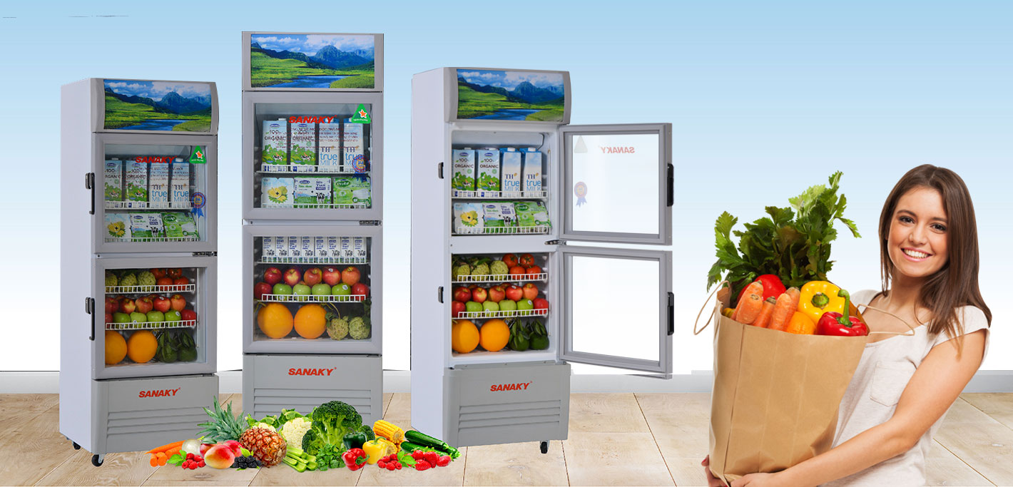 Tủ mát Sanaky VH-258WL 250 lít - hình minh họa 1